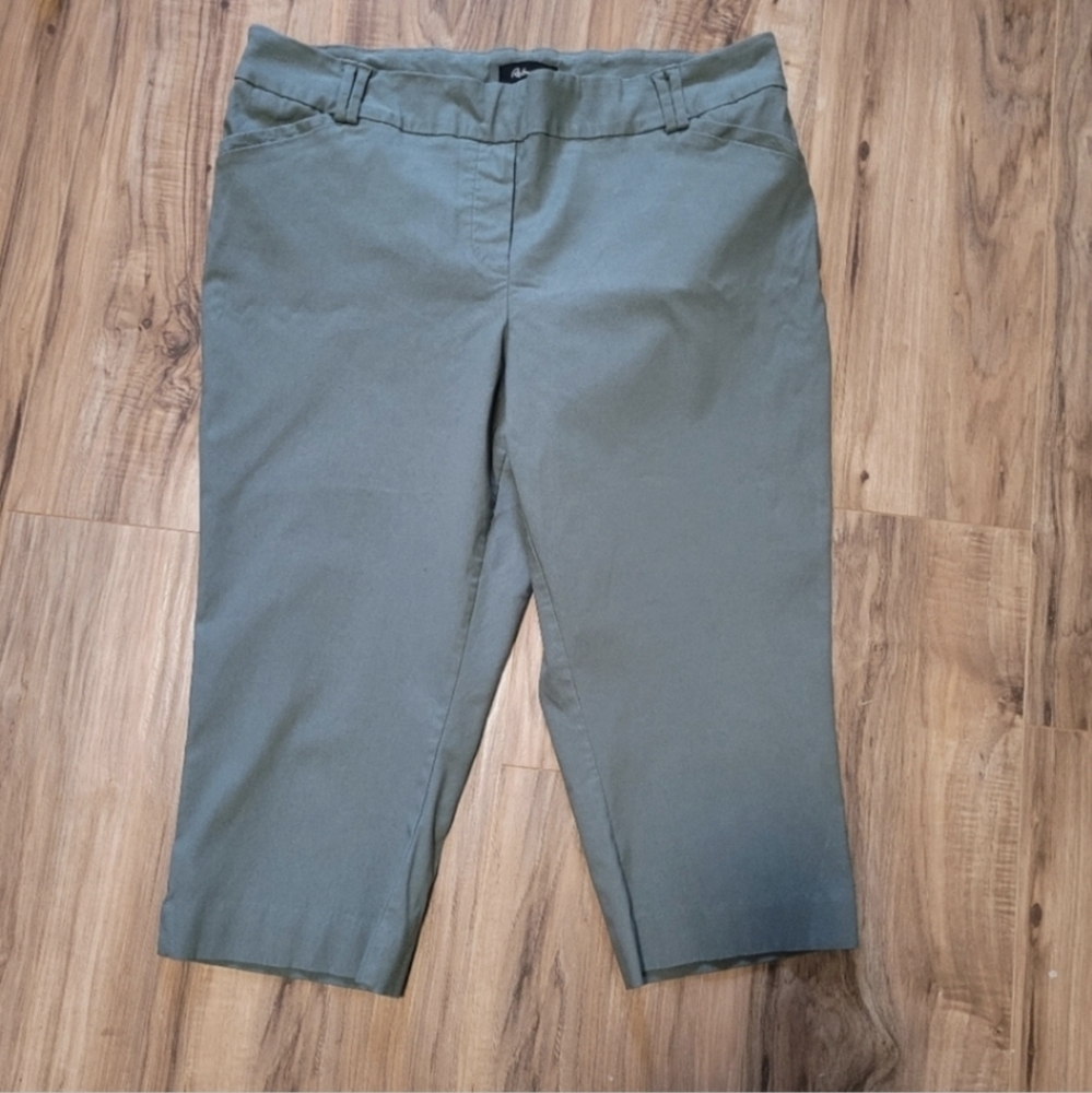 Reitmans The Iconic Size 18P Cropped Pants
